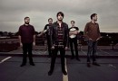 silverstein_n