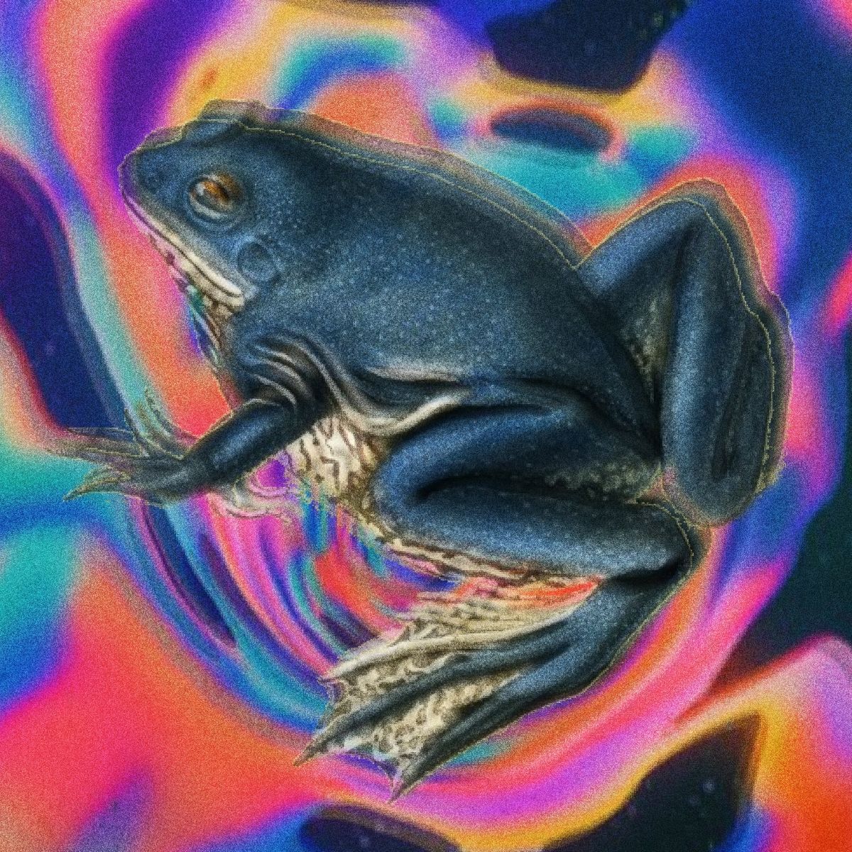 hundredth - somewhere nowhere