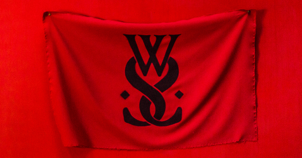 while she sleeps - brainwashed