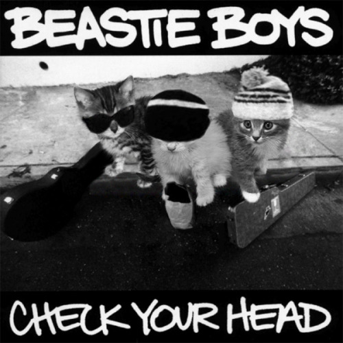 beastie-boys-cat-album
