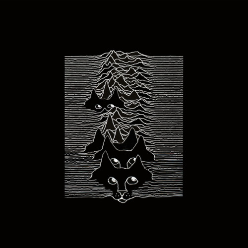 joy-division-cat-album