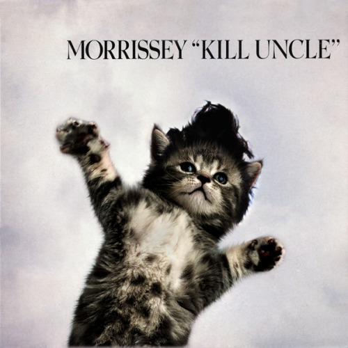 morrisey-cat-album