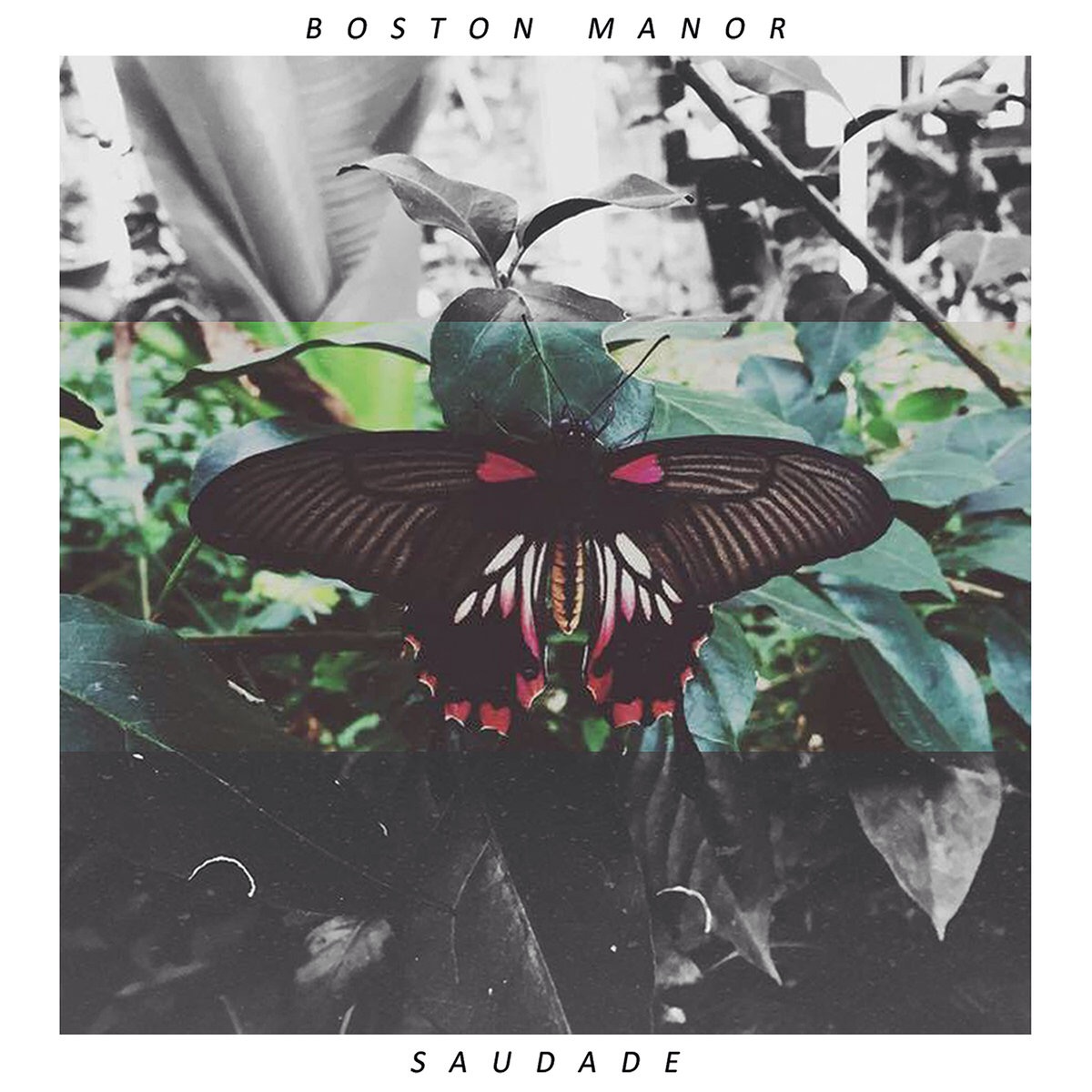 Boston Manor - Saudade Boston Manor - Saudade