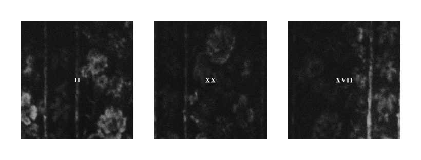 PVRIS - 2.20.17