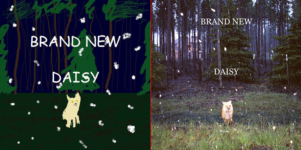 brand new daisy paint