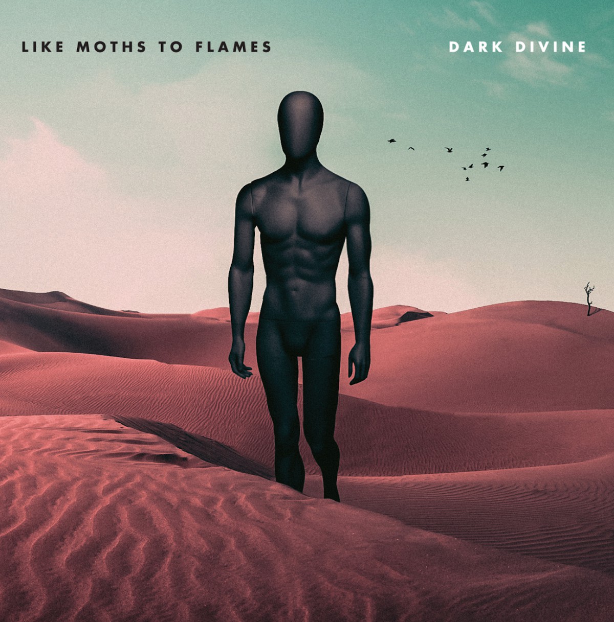 like moths to flames - dark divine
