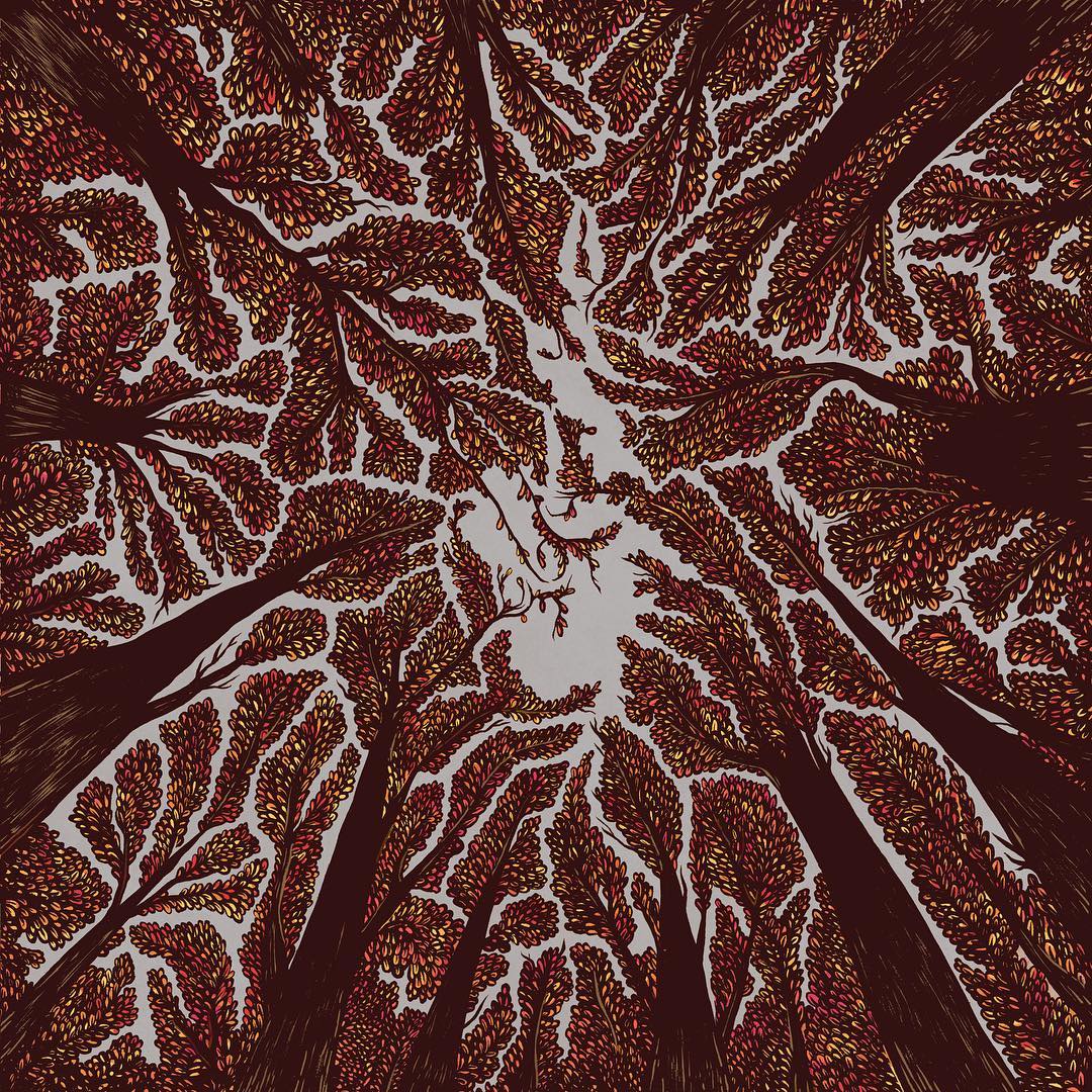 trash boat crown shyness