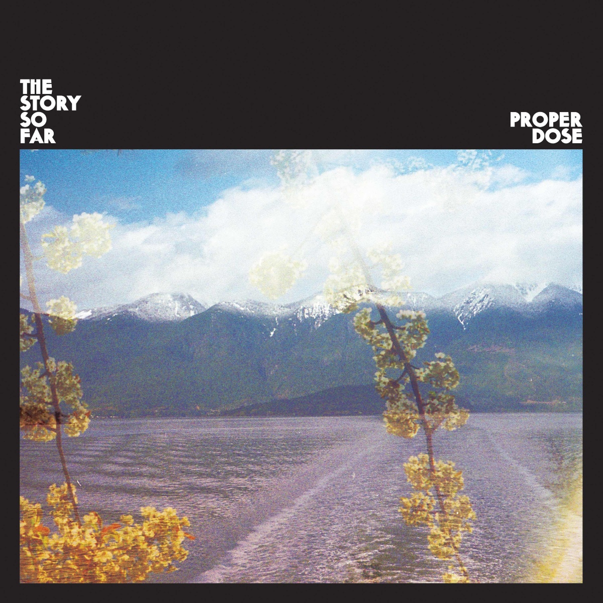 the story so far proper dose