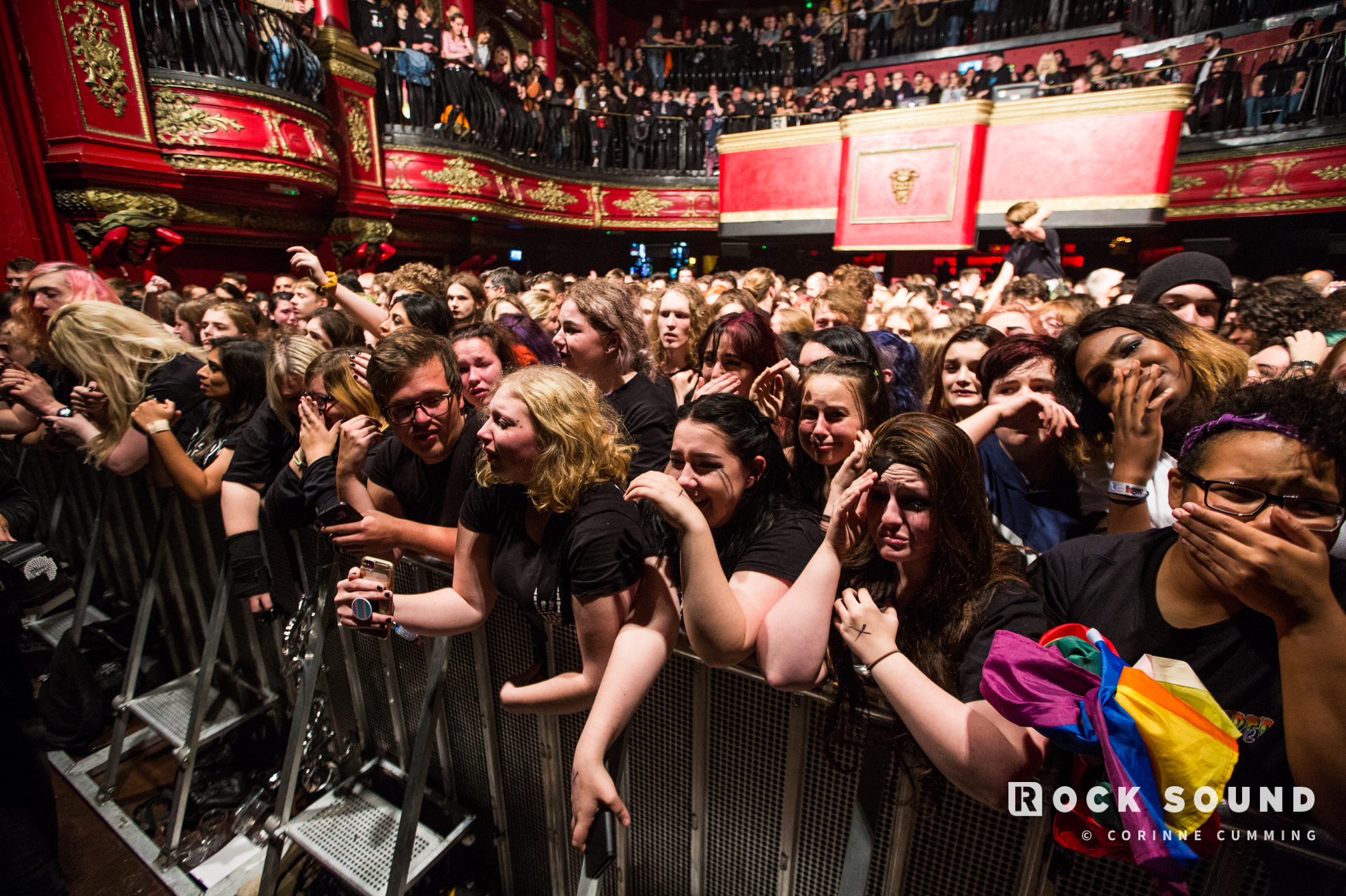 creeper bowie koko londres