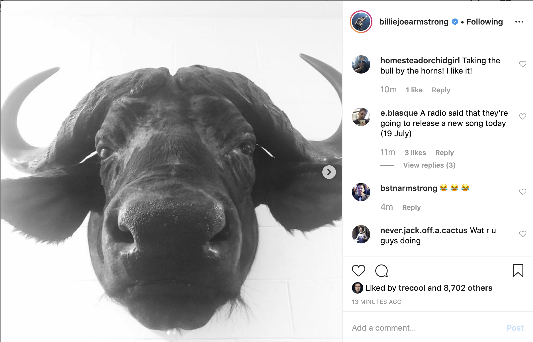 Imagen de un toro en el instagram de Billie Joe